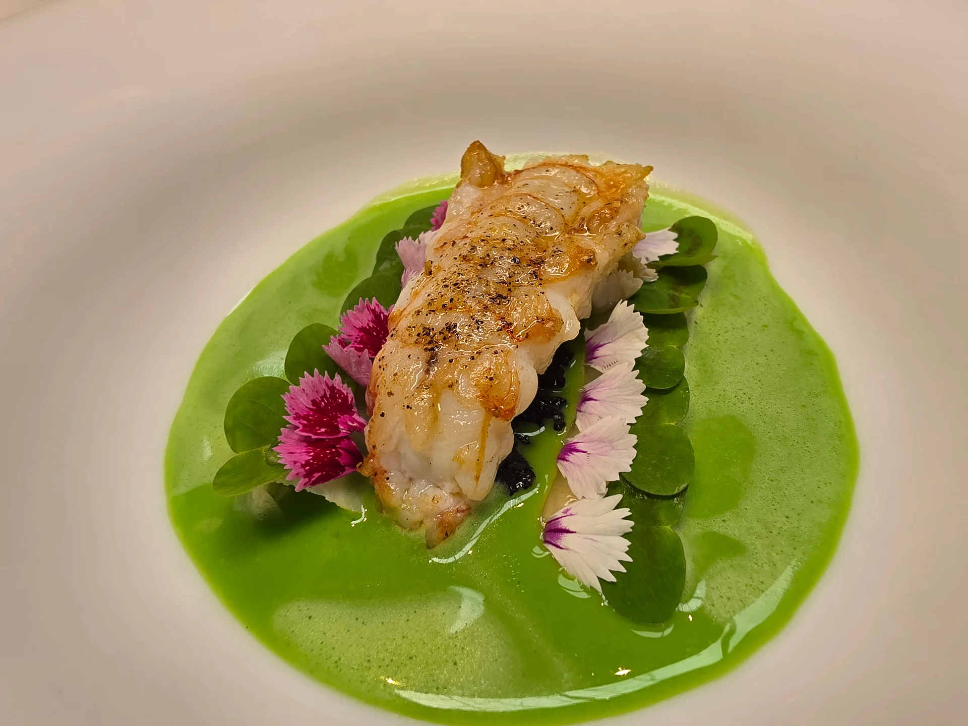 Langoustine